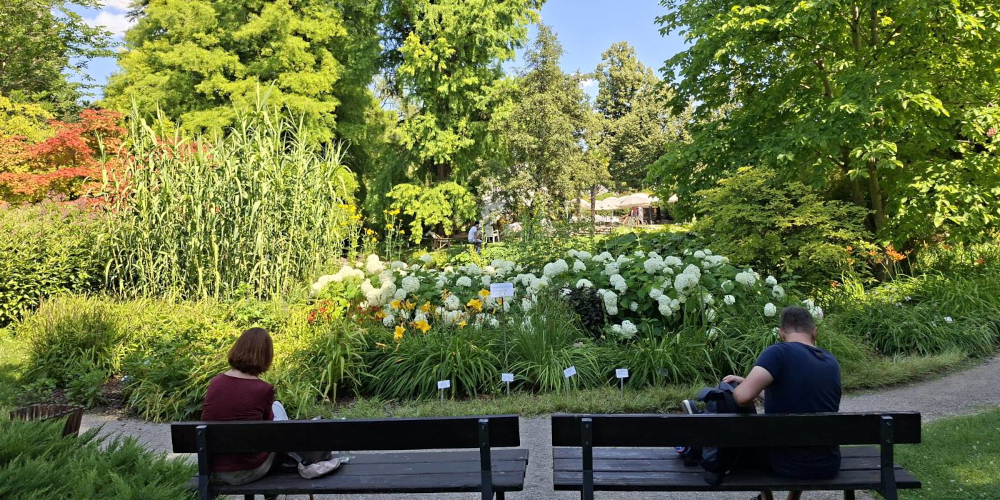 Botanischer Garten
