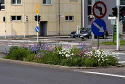 Bunt blühendes Blumenbeet in einer Grüninsel zwischen Fahrstreifen am Gründberg in Urfahr