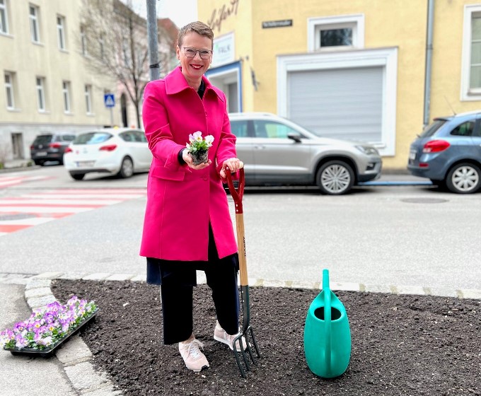 StRin Mag.a Eva Schobesberger bepflanzt eine Grünfläche neben einer Straße.
