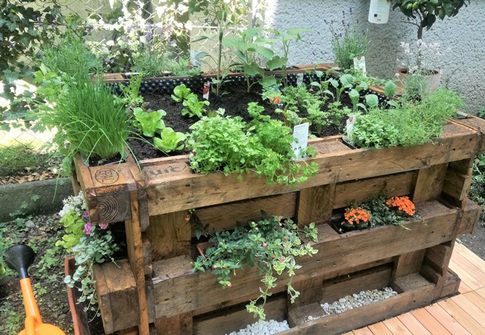 Ein Hochbeet aus Paletten gebaut und bunt mit Kräutern und Blumen bepflanzt.