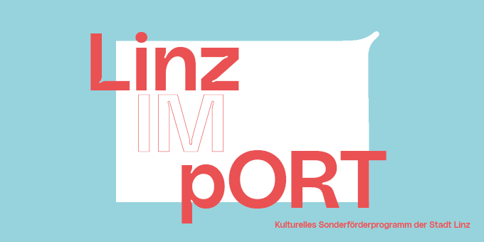 Grafische Darstellung Sonderförderprogramme LINZ_IMpORT