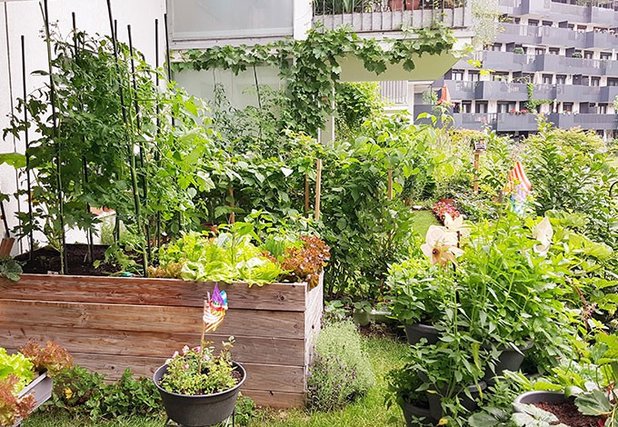 Dicht bepflanzter, kleiner Garten, inklusive Hochbeet.