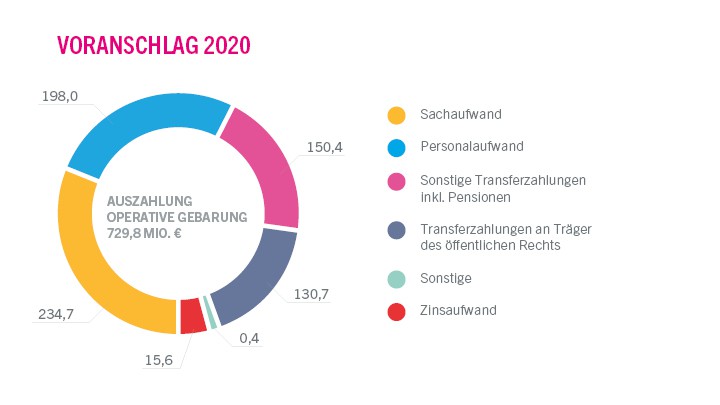 Voranschlag 2020  - Auszahlungen der operativen Gebarung