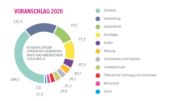 Voranschlag 2020 - Auszahlungen der operativen Gebarung nach Sachbereichen