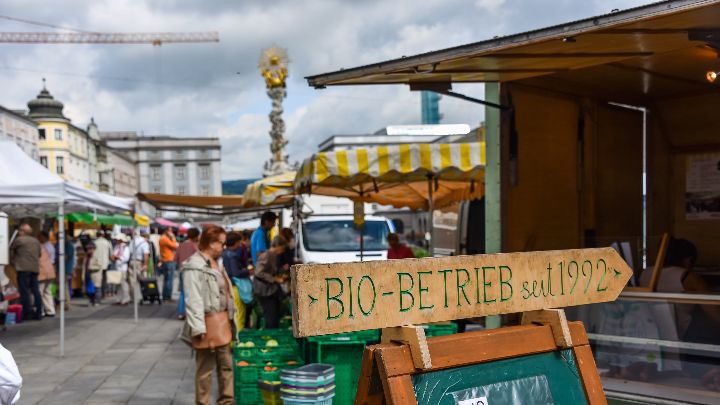 Schild mit der Aufschrift Bio-Betrieb