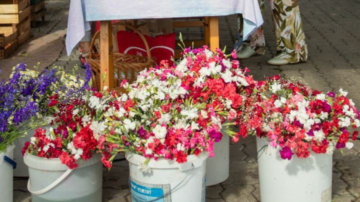 Saisonale Blumen zum Verkauf präsentiert