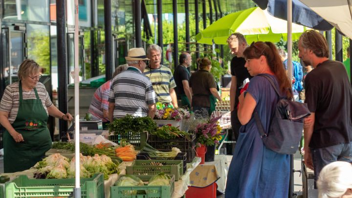 Einkaufen am Grünmarkt Urfahr, Ansicht verschiedener Marktstände