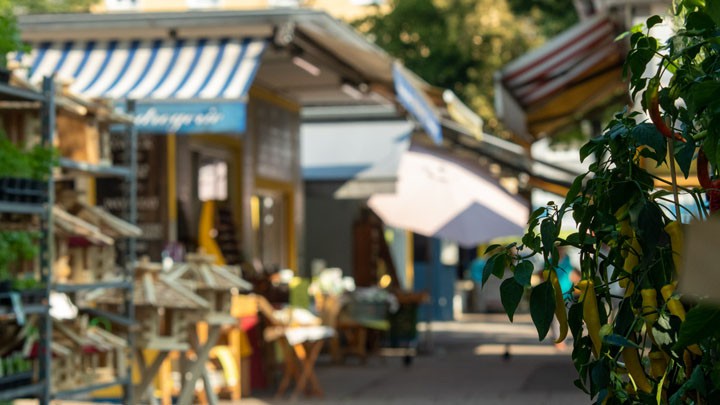 Marktstand im Innenbereich am Markt