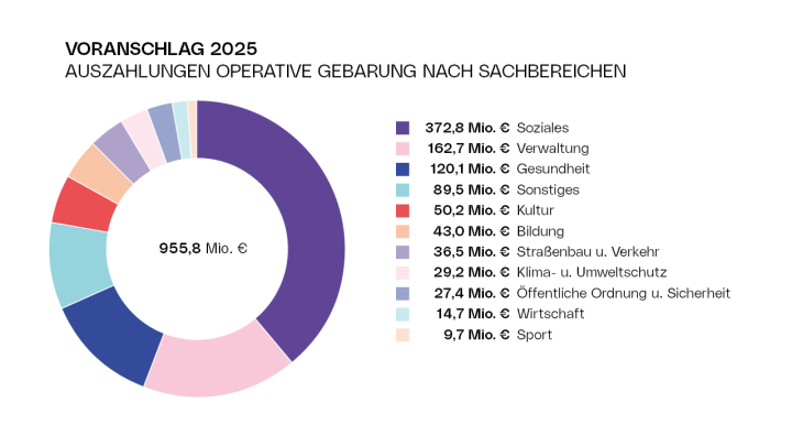Diagramm Voranschlag 2025 - Auszahlungen der operativen Gebarung nach Sachbereichen