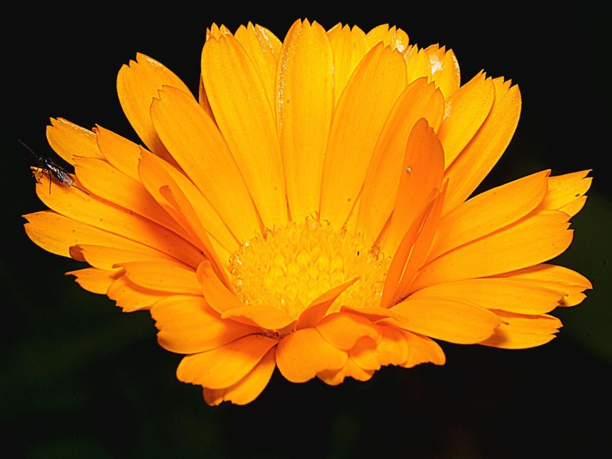 Foto: privat 1_Huemer_bildergalerie_grid