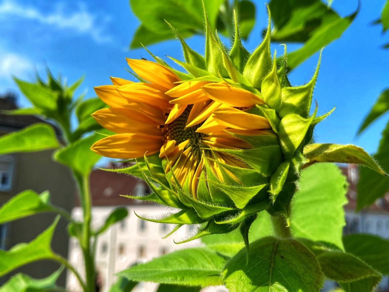 Foto: privat 1_Steinbauer_bildergalerie_grid