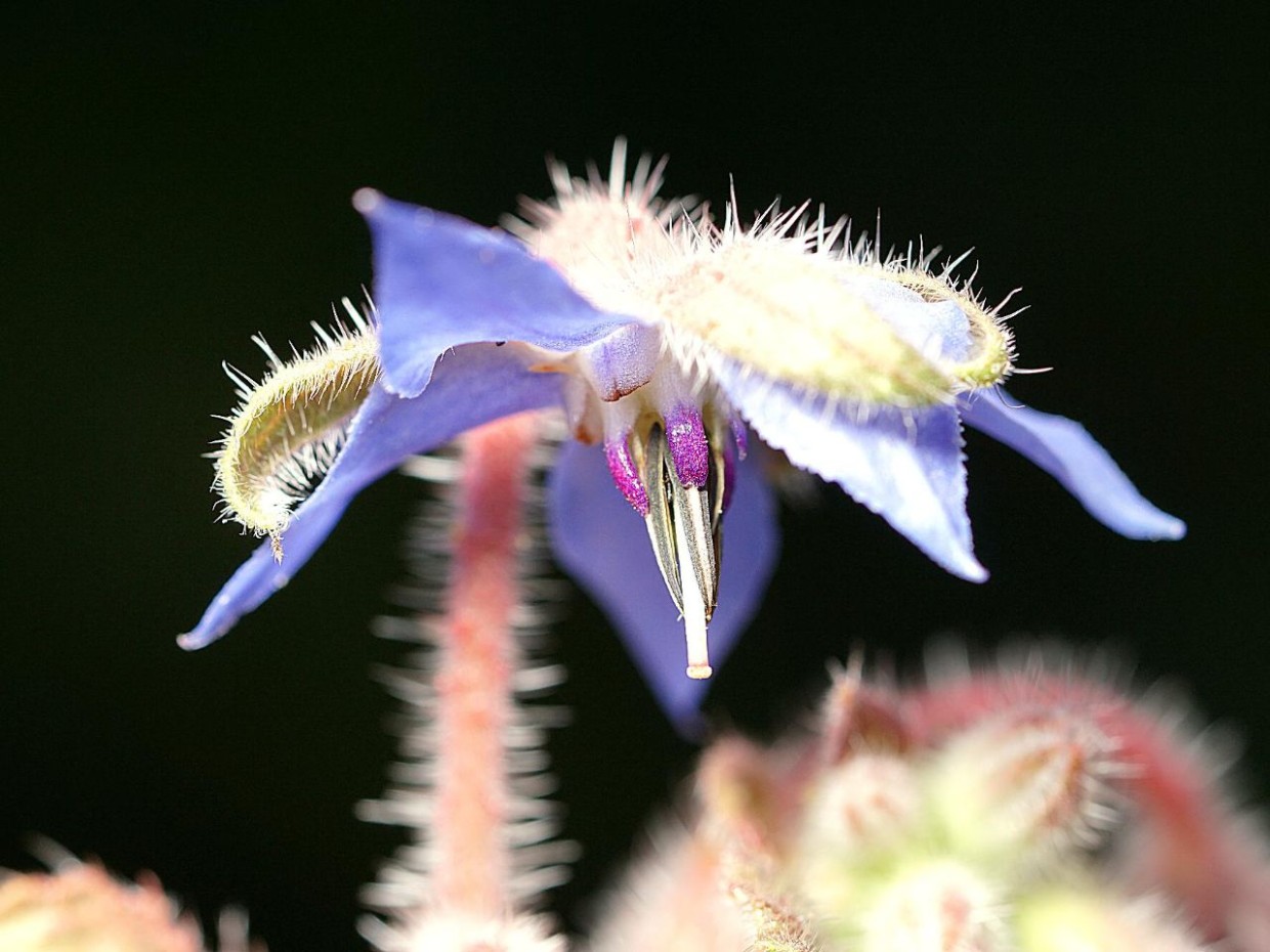 Foto: privat 2_Huemer_bildergalerie_grid