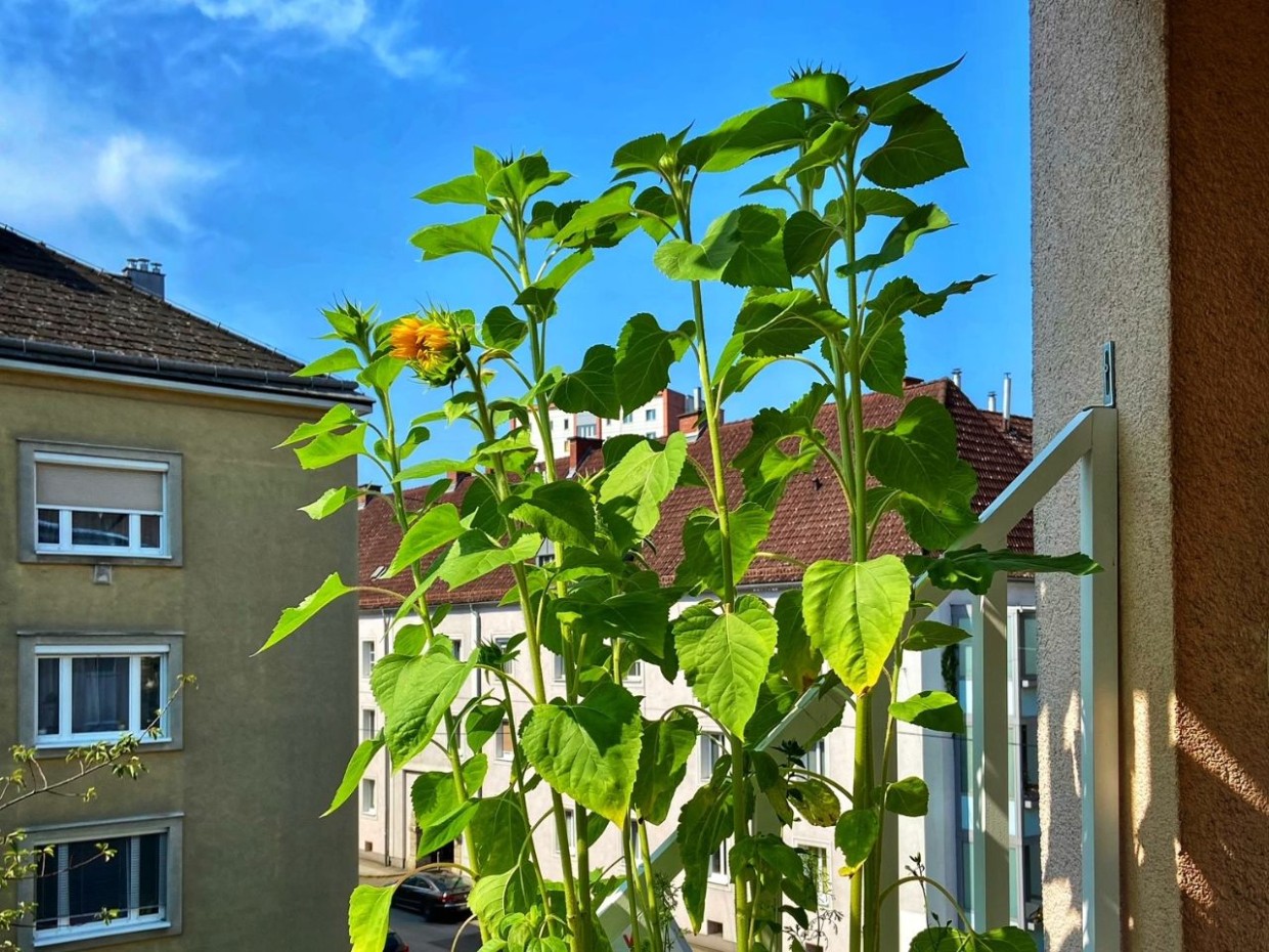 Foto: privat 2_Steinbauer_bildergalerie_grid_1