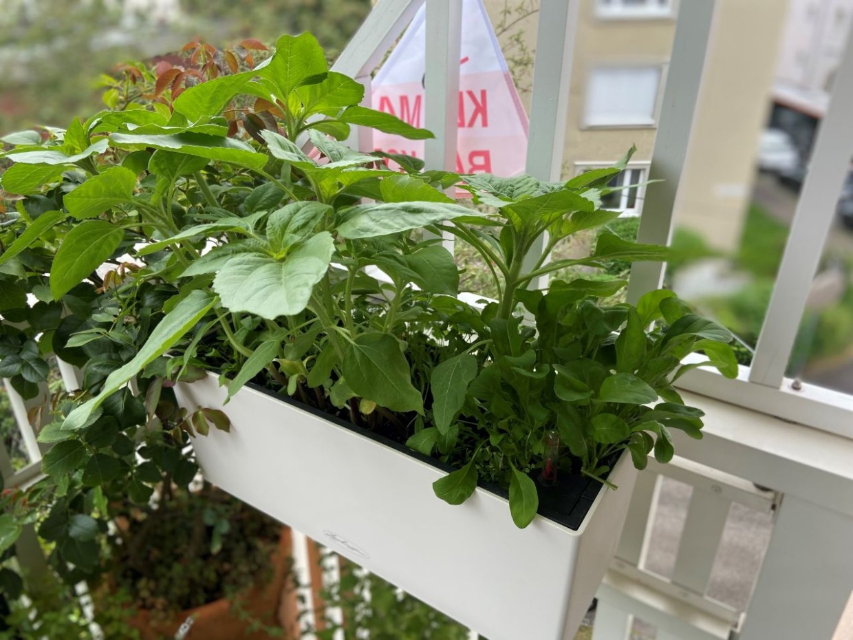 Foto: privat 3_Steinbauer_bildergalerie_grid