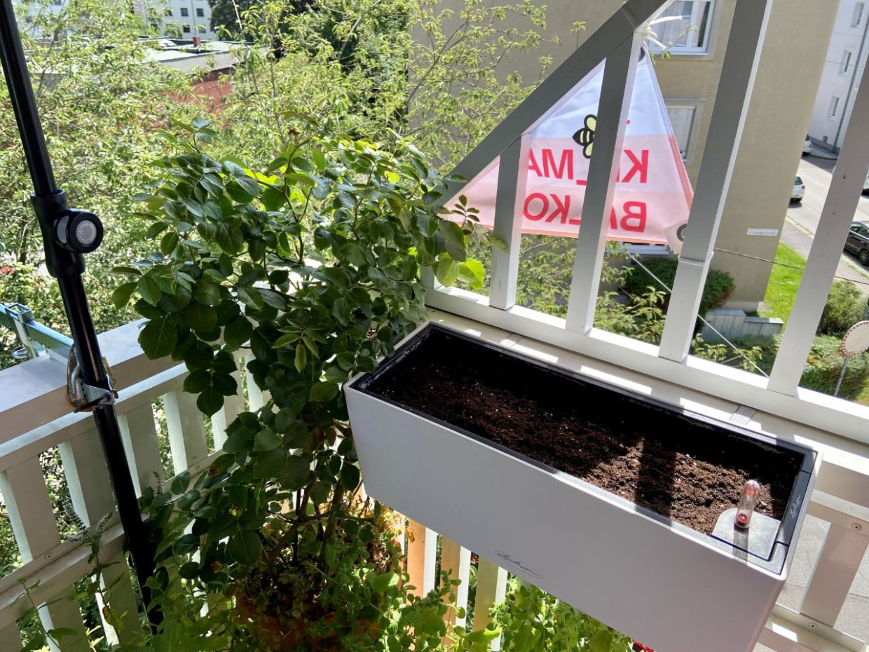 Foto: privat 4_Steinbauer_bildergalerie_grid