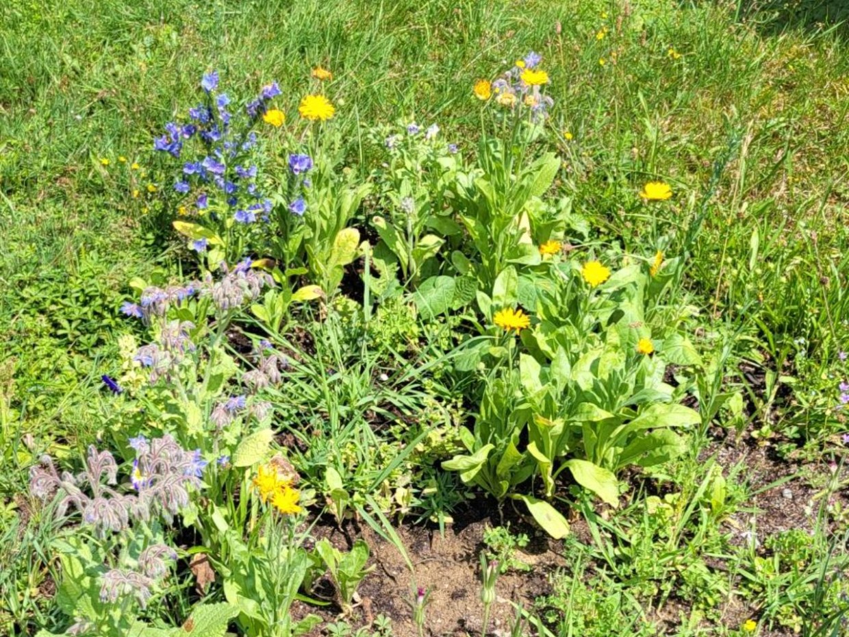 Foto: privat 5_Huemer_bildergalerie_grid