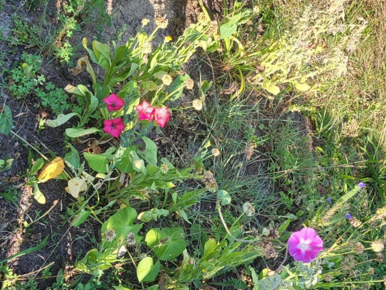 Foto: privat 6_Huemer_bildergalerie_grid