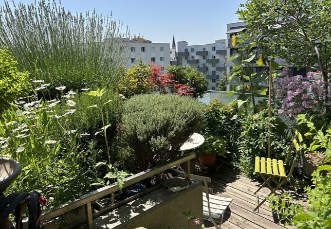 Christel Schmidt Zahlreiche Blütenstauden am Balkon