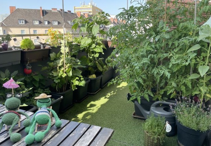 Elisabeth Zechenter Gemüse- und Kräuterpflanzen am Balkon