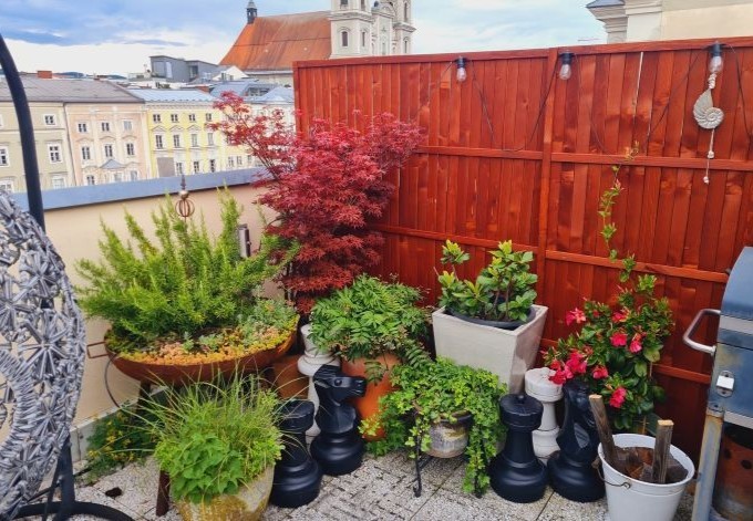 Julia Kohlbacher große Schachfiguren zwischen verschiedenen Grünpflanzen