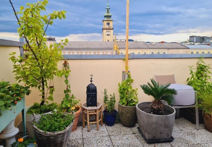 Julia Kohlbacher Grünpflanzen verschönern den Balkon mitten in der Stadt