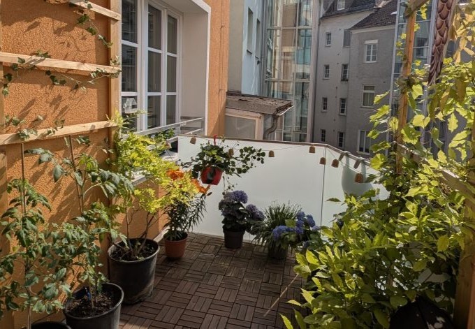 Oscar Stepien Pflanzen schaffen eine schöne Atmospähre am Balkon mitten in der Stadt