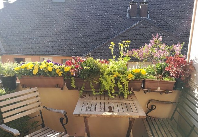 Sabine Waldmann Sitzplatz am Balkon mit blühenden Pflanzen geschmückt