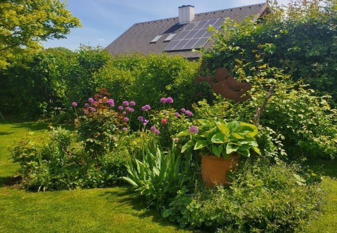 Andrea Hlebic verschieden Stauden und Sträucher, im Hintergrund ist das Hausdach zu sehen
