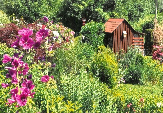 Carmen Nirnberger verschiedene Stauden, im Vordergrund eine blühende Malve