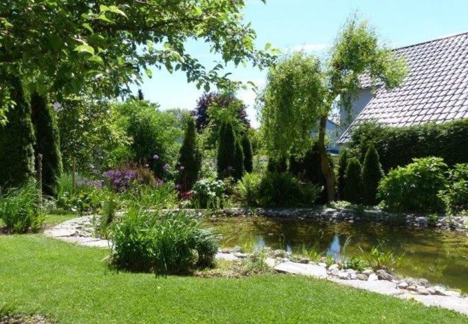 Elisabeth Höfer Teich, teilweise mit Gehölzen eingefasst