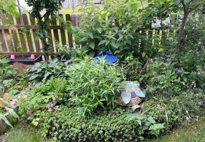 Irene Vielhaber bunte Mischung: Blühstauden, Gehölze, Gemüse und Kräuter