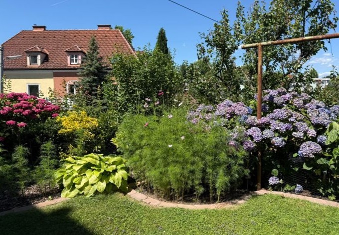 Kevin Müller bunte Hecke im Garten mit verschiedenen Stauden