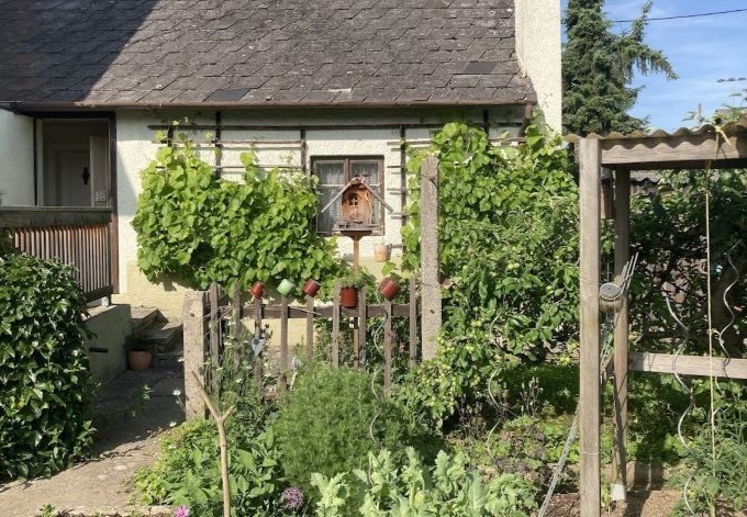 Renate Dvorzak Bauerngarten und Weintrauben