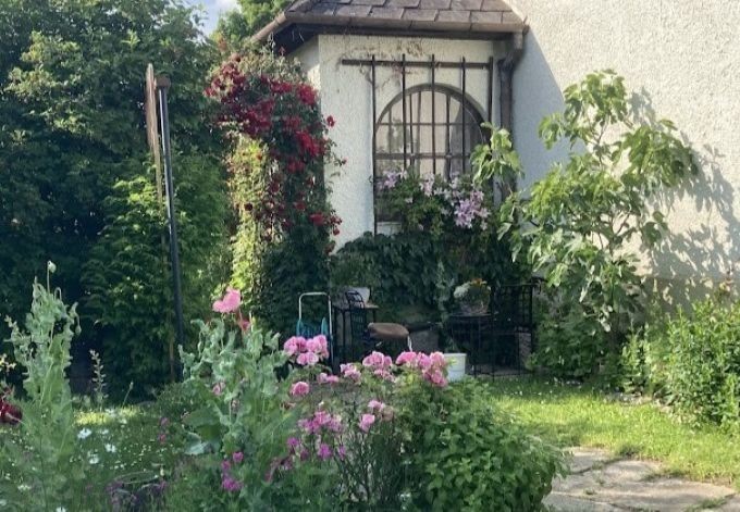 Renate Dvorzak liebevoll gepflegter Garten, Kletterrose und Klematis an der Hauswnad, blühende Stauden im Vordergrund