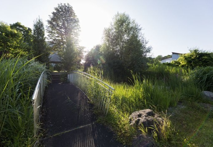 Seniorenzentrum Kleinmünchen Brücke über den Teich mit Gräsern eingefasst