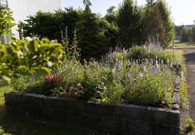 Seniorenzentrum Kleinmünchen Hochbeete mit blühenden Stauden