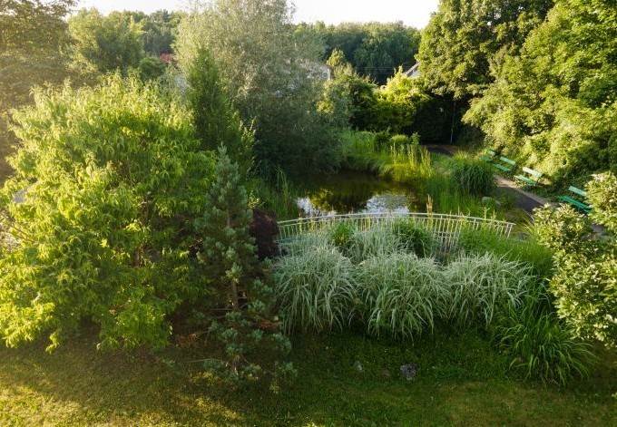 Seniorenzentrum Kleinmünchen viele Gräser und Gehölze rund um den Teich