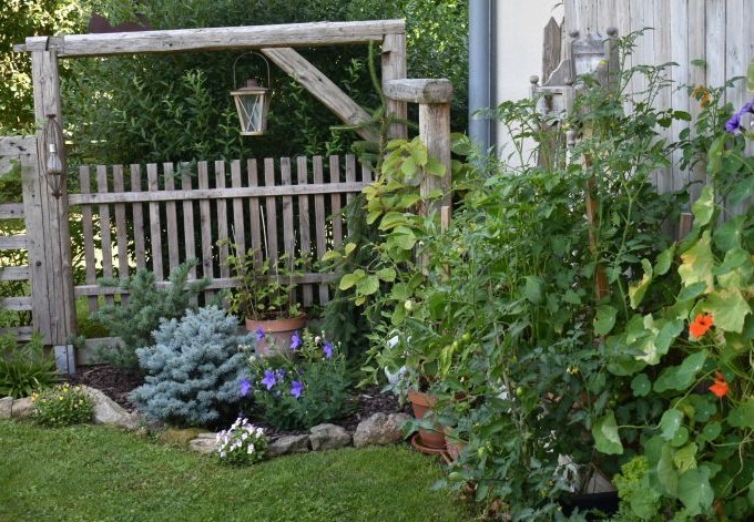 Veronika Harrer Gehölze und Gemüsepflanzen, begrenzt durch einen Holzzaun