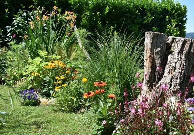 Veronika Harrer Staudenbeet mit Holzstamm