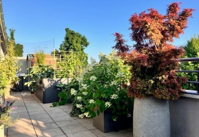 Birgit Reiter u. Florian Gruber Gehölze und Gemüsepflanzen auf der Dachterrasse