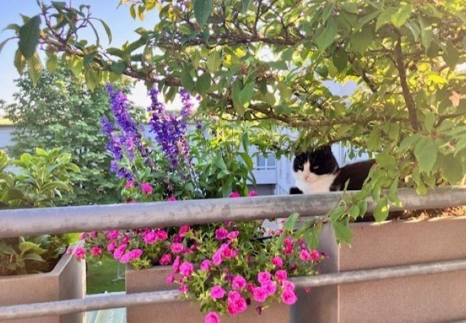 Birgit Reiter u. Florian Gruber zwischen den Pflanzen hat es sich die Katze gemütlich gemacht