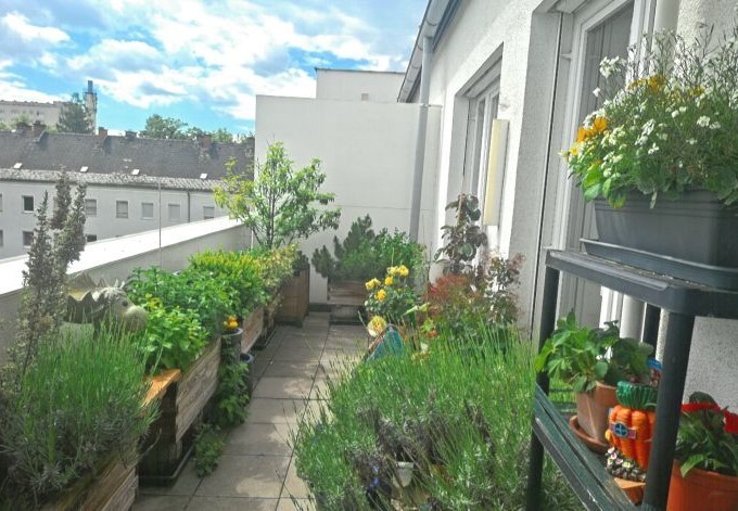 Christian Swoboda Kräuter, Gemüse und Blütenstauden