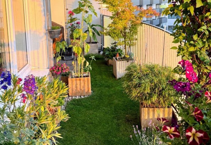 Florian Binder bunte Blütenpracht