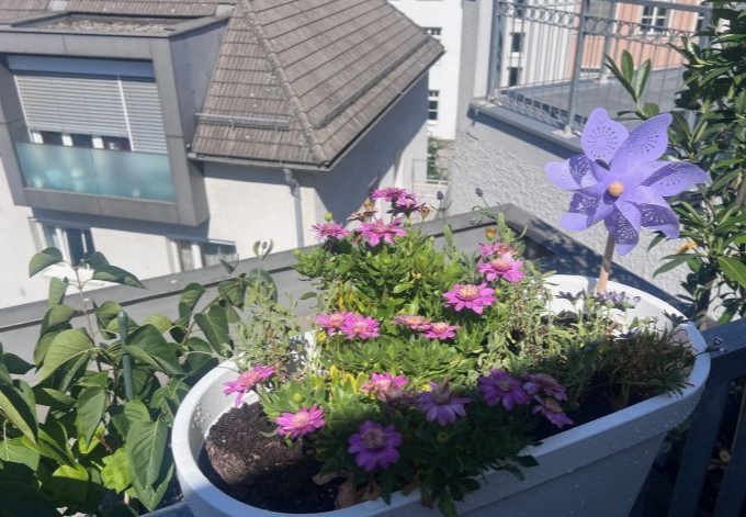 Gudrun Gabauer Grünpflanzen und rosa Blüten