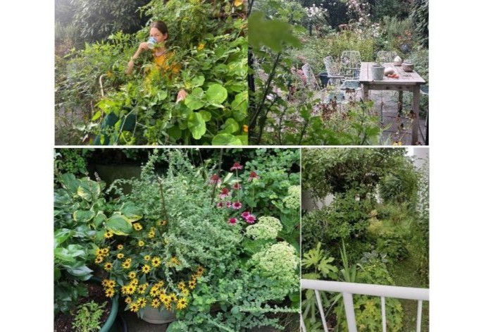 Susanne Mayrhofer MSc Fotocollage Bepflanzung und Sitzplatz Dachterrasse