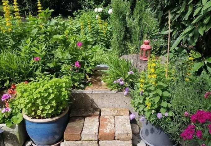 Susanne Mayrhofer MSc verschiedenste Blütenstauden, Weg aus Ziegeln gelegt