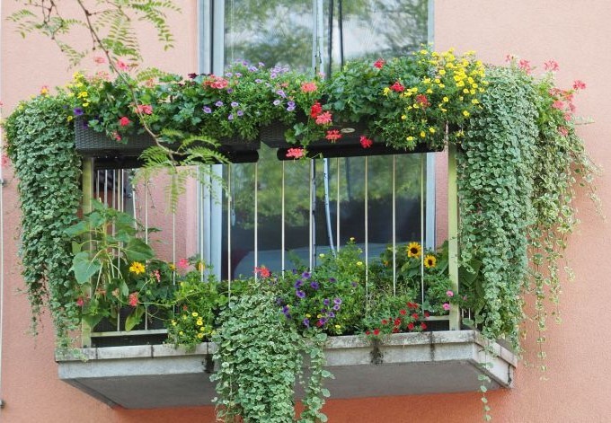 Werner Hudelist liebevolle Bepflanzung auf sehr kleinem Balkon