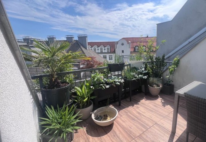 Gudrun Gabauer Kübelpflanzen auf der Dachterrasse
