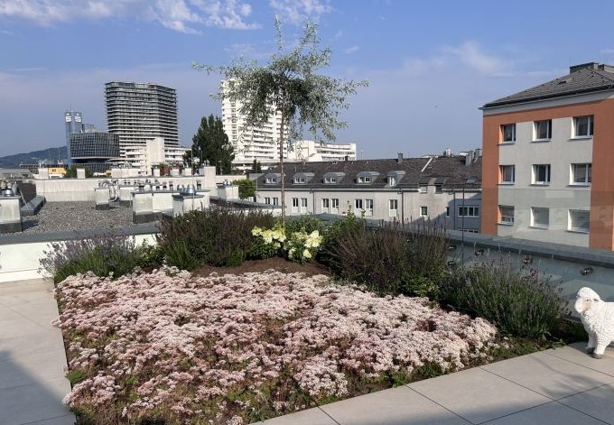 Tanja Heuberger Ein Pflanzbeet lockert die Dachterrasse auf.
