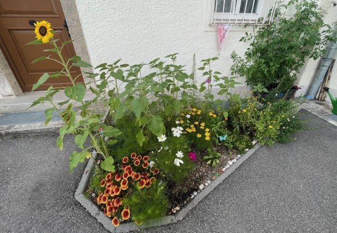 Michaela Thumfart blühendes Staudenbeet